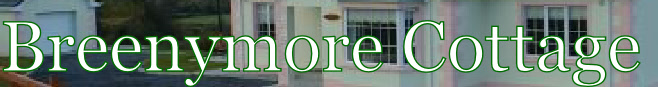 wp1fa178d6_0f.jpg